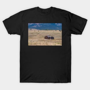 Lindsay Ranch T-Shirt